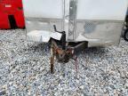 2019 Homesteader 2018 Homesteader 818IT Enclosed Cargo Trailer