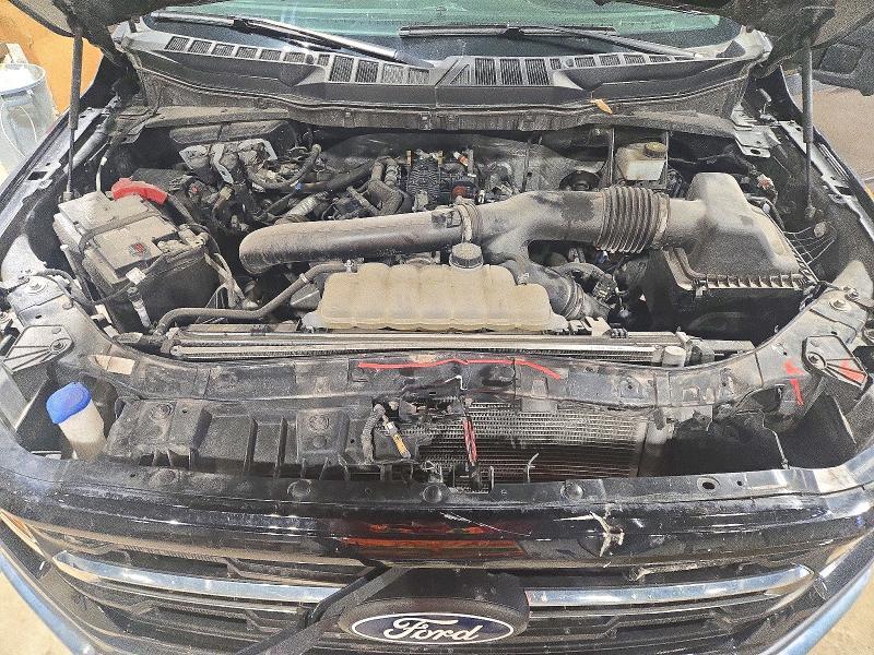2024 Ford F150 XLT