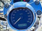 2007 Harley-Davidson XL1200 C