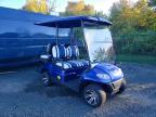 2019 Icon Ev Golf Cart