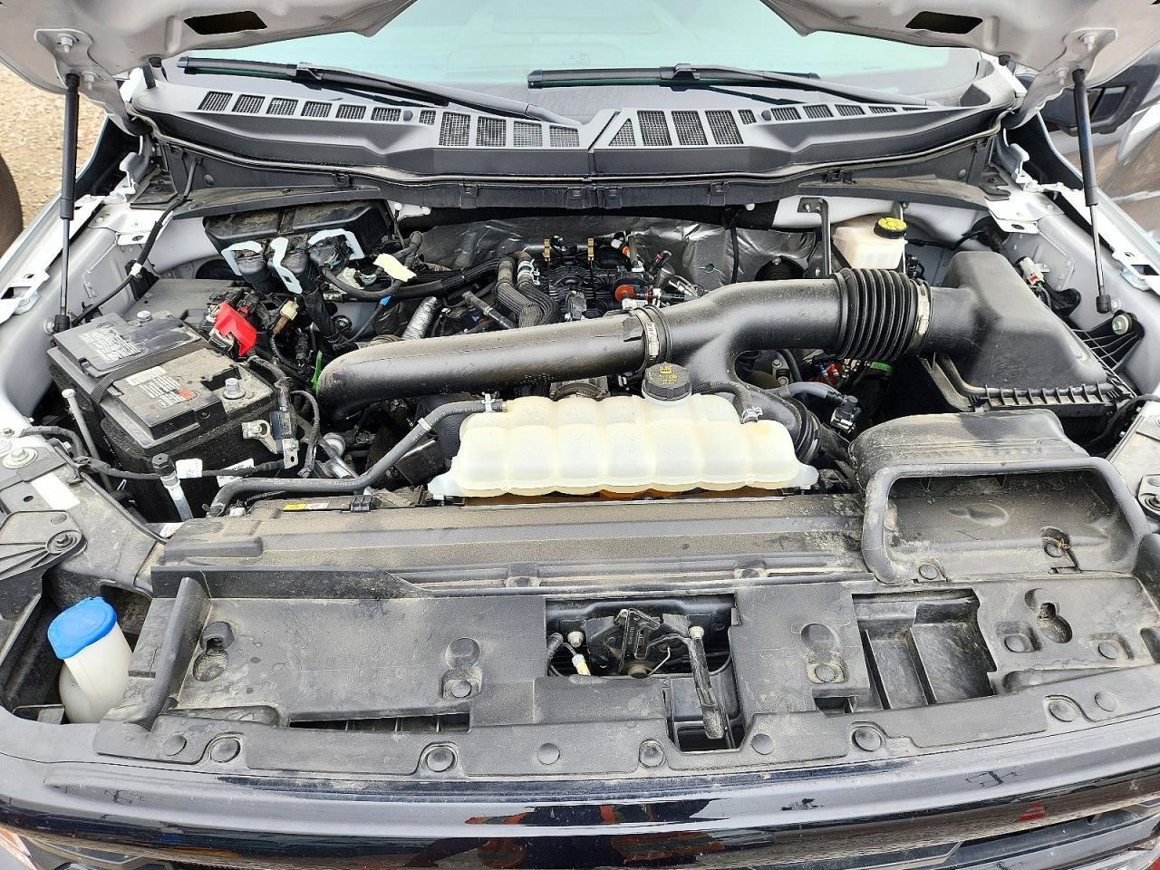 2024 Ford F150 XLT