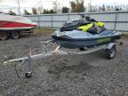 2024 Sea Doo RXP-X 325