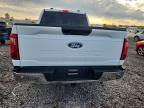 2025 Ford F150 XLT