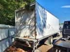 2024 International MV607 BOX Truck