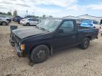 1996 Nissan Truck Base