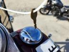 1992 Harley-Davidson Flstc
