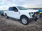 2025 Ford F150 XLT