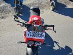 2025 Cf Moto Papio SS