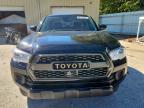 2023 Toyota Tacoma Trail Special Edition