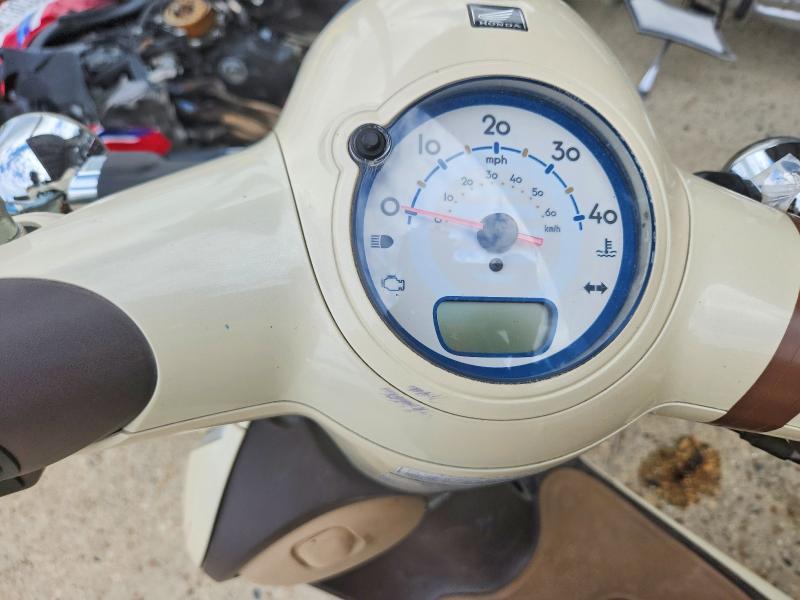 2022 Honda NCW50