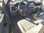 2024 Ford F150 XL