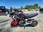 2014 Honda Grom 125