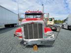 2020 Peterbilt 389 Semi Truck