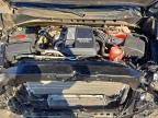 2024 Chevrolet Silverado K1500 Trail Boss Custom