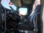 2019 Freightliner Cascadia 126 Semi Truck