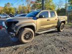 2025 Toyota Tacoma TRD OFF-ROAD HV