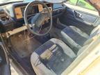 1982 Volkswagen Rabbit Truck
