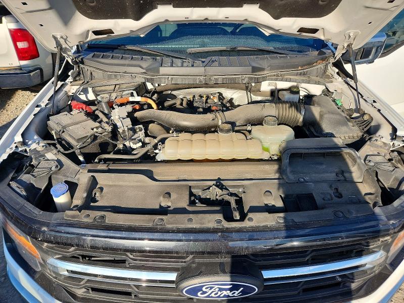 2024 Ford F150 XLT