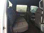 2025 Ford F150 XLT