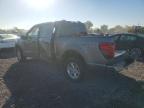 2024 Ford F150 XLT