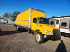 2024 International MV607 BOX Truck
