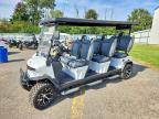 2025 Denago Rover XLL Golf Cart