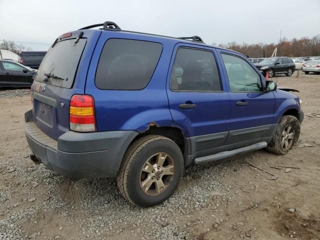 2006 Ford Escape XLT