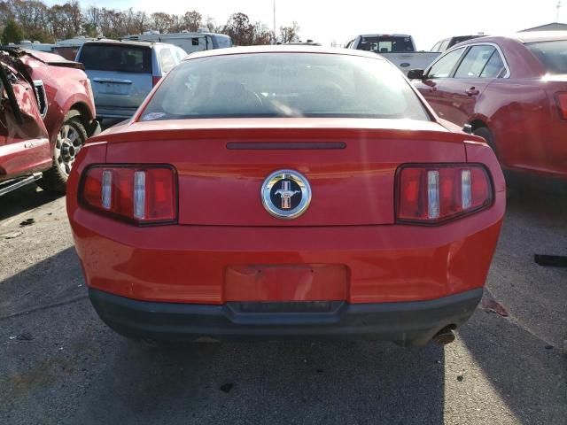 2010 Ford Mustang