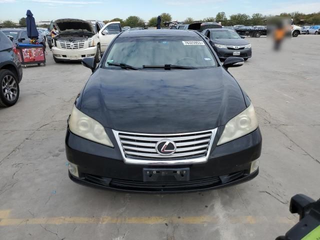 2010 Lexus ES 350