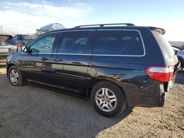 2005 Honda Odyssey EXL