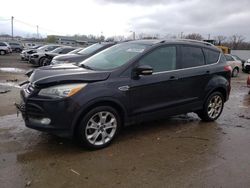 Vehiculos salvage en venta de Copart Louisville, KY: 2014 Ford Escape Titanium