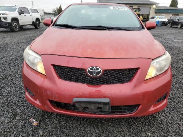 2010 Toyota Corolla Base