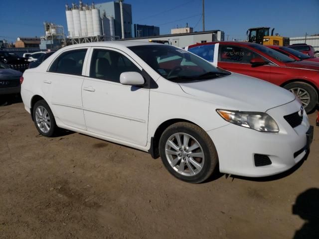 2009 Toyota Corolla Base