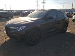 Alfa Romeo Stelvio salvage cars for sale: 2019 Alfa Romeo Stelvio TI