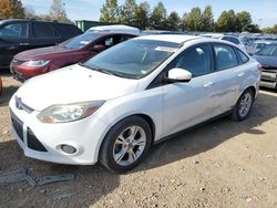 Ford Vehiculos salvage en venta: 2013 Ford Focus SE