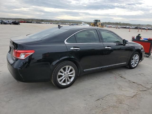 2010 Lexus ES 350