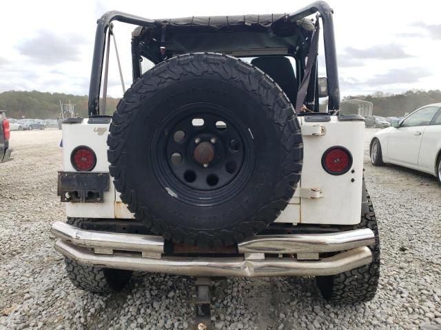 1995 Jeep Wrangler / YJ S