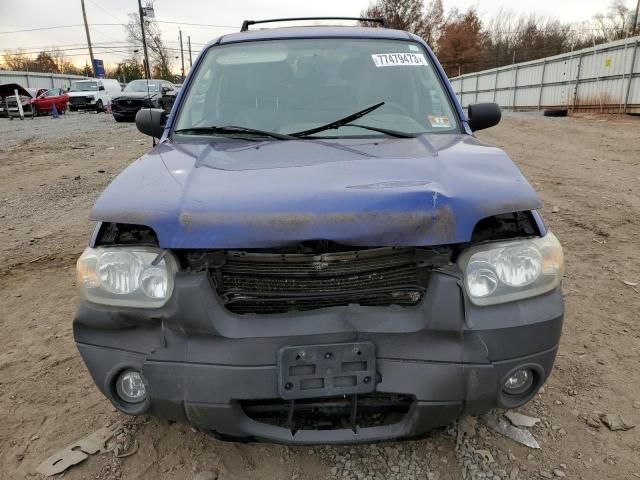 2006 Ford Escape XLT