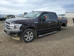 2019 Ford F150 Supercrew for sale in Helena, MT