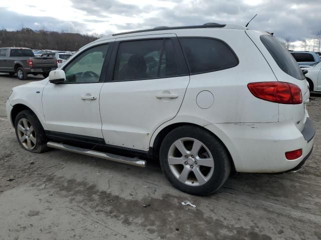 2007 Hyundai Santa FE SE