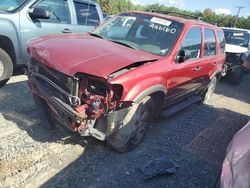 Salvage cars for sale from Copart Shreveport, LA: 2004 Ford Escape XLT