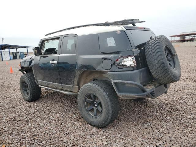 2010 Toyota FJ Cruiser