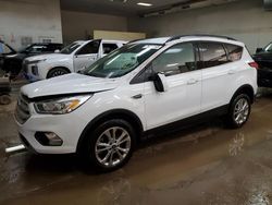 Ford Escape Vehiculos salvage en venta: 2019 Ford Escape SEL