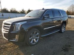 Salvage cars for sale from Copart Adamsburg, PA: 2016 Cadillac Escalade Luxury