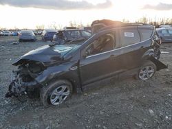 Ford Vehiculos salvage en venta: 2015 Ford Escape SE