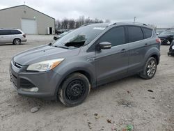 2014 Ford Escape Titanium for sale in Lawrenceburg, KY