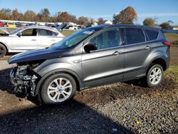 2019 Ford Escape SE for sale in Hillsborough, NJ