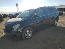 Vehiculos salvage en venta de Copart Phoenix, AZ: 2005 Honda Odyssey EXL