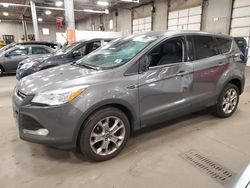 2013 Ford Escape SEL en venta en Ham Lake, MN