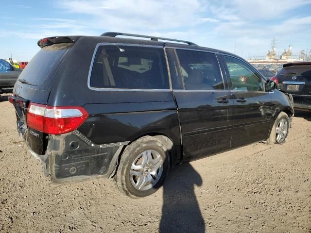 2005 Honda Odyssey EXL